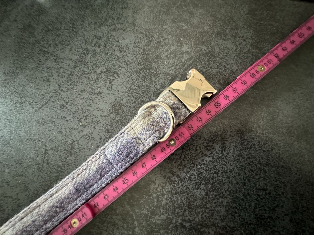Guinzagli & Collari: Hundehalsband Violett/Silber – Nuovo e nell'imballaggio originale da Niederglatt ZH venduto da vul_v86c 2