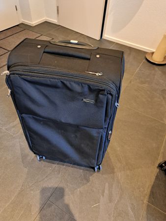 Koffer Travelline 60x40x24 cm