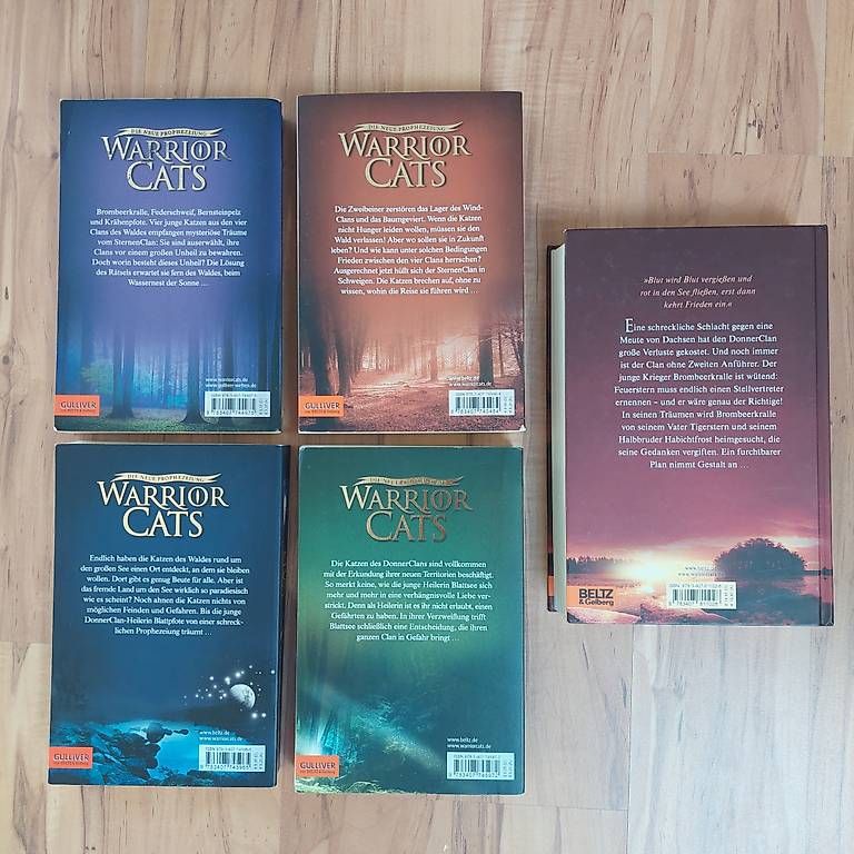 Libri: Warrior Cats / Staffel 2 - 5 Bände – Usato da Oberkulm venduto da stellata 1