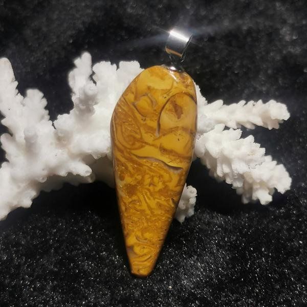 Ciondoli: Fossilien Jaspis Anhänger – Nuovo e nell'imballaggio originale da Walenstadt venduto da vkt_qc8d 1