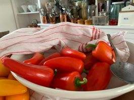 50 Samen Süsspaprika Mini Snackpaprika LUNCHBOX ROT 12 cm