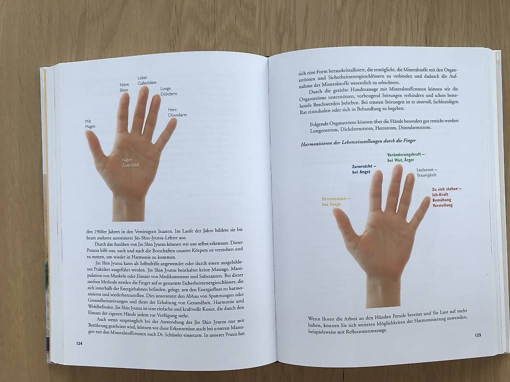 Libri: Schüsslersalze Kellenberger – Usato da Egolzwil venduto da taraxacum65 2