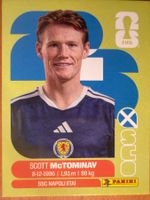 Panini SCO11