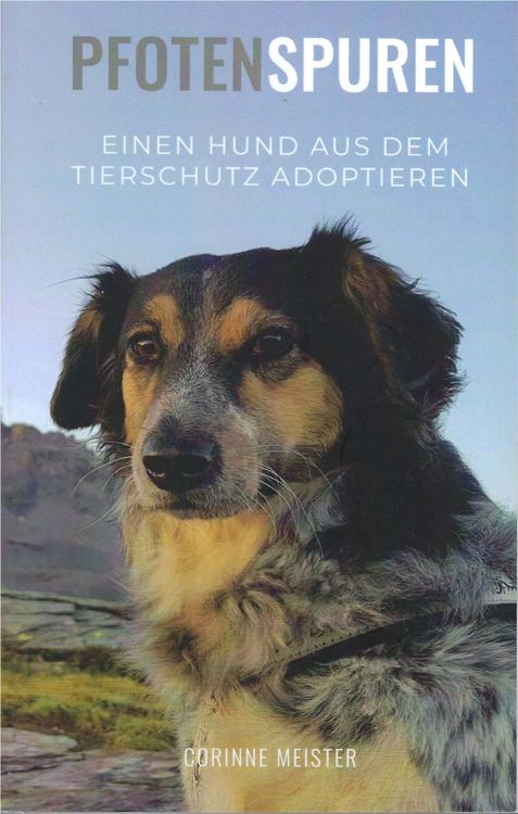 Pfotenspuren - Einen Hund Aus Dem Tierschutz Adoptieren | Kaufen Auf ...