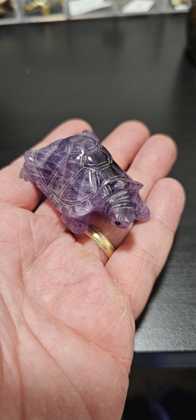 Figuren: amethyste tortue – Neu und originalverpackt aus Lausanne von Delaquinta88 2