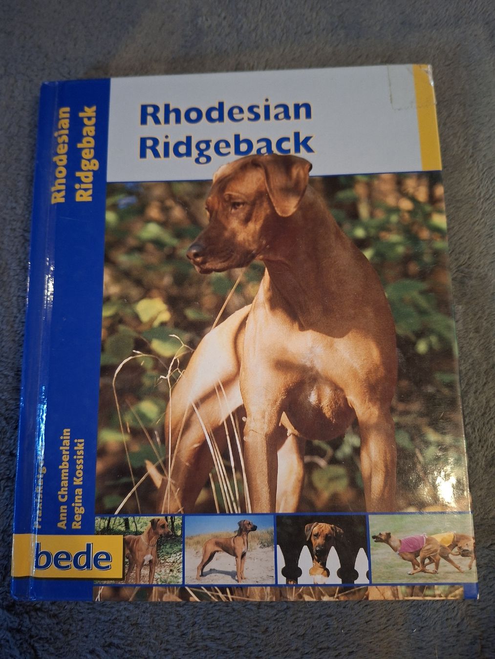 Libri: Rhodesian Ridgeback PraxisRatgeber  – Usato da Teufen AR venduto da nad_55nm