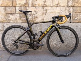 Colnago Concept Gr 48.5 Campagnolo Super Record 11Sp