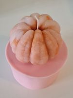 Seifenform/Kerzen-Schokoform Mandarinli