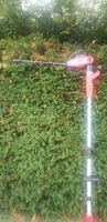 TELESKOP HECKENSCHERE