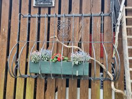 Fenster Schmiedeisengitter