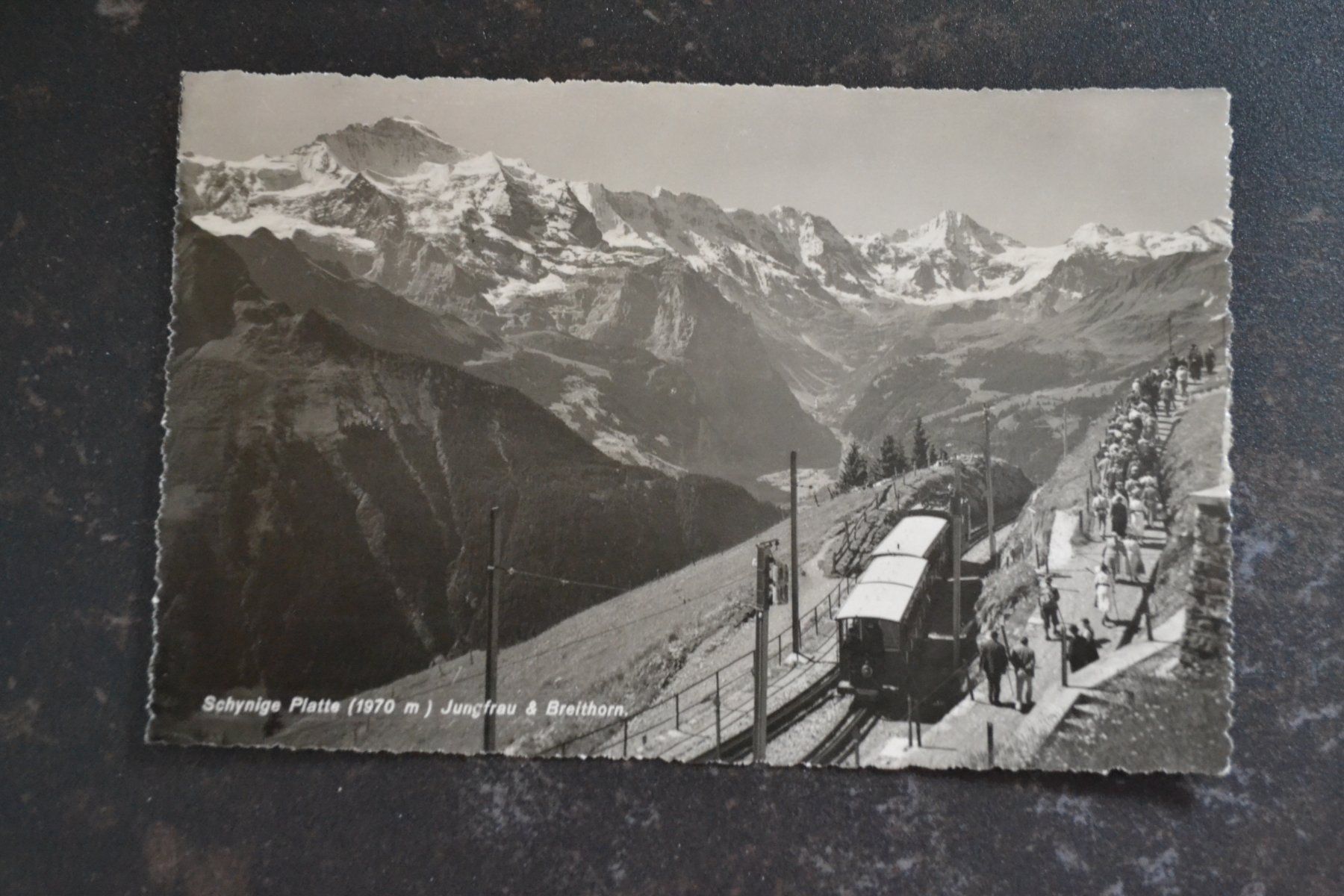 Cartoline postali: AK Schynige Platte BE – Usato da Beinwil am See venduto da kajak55