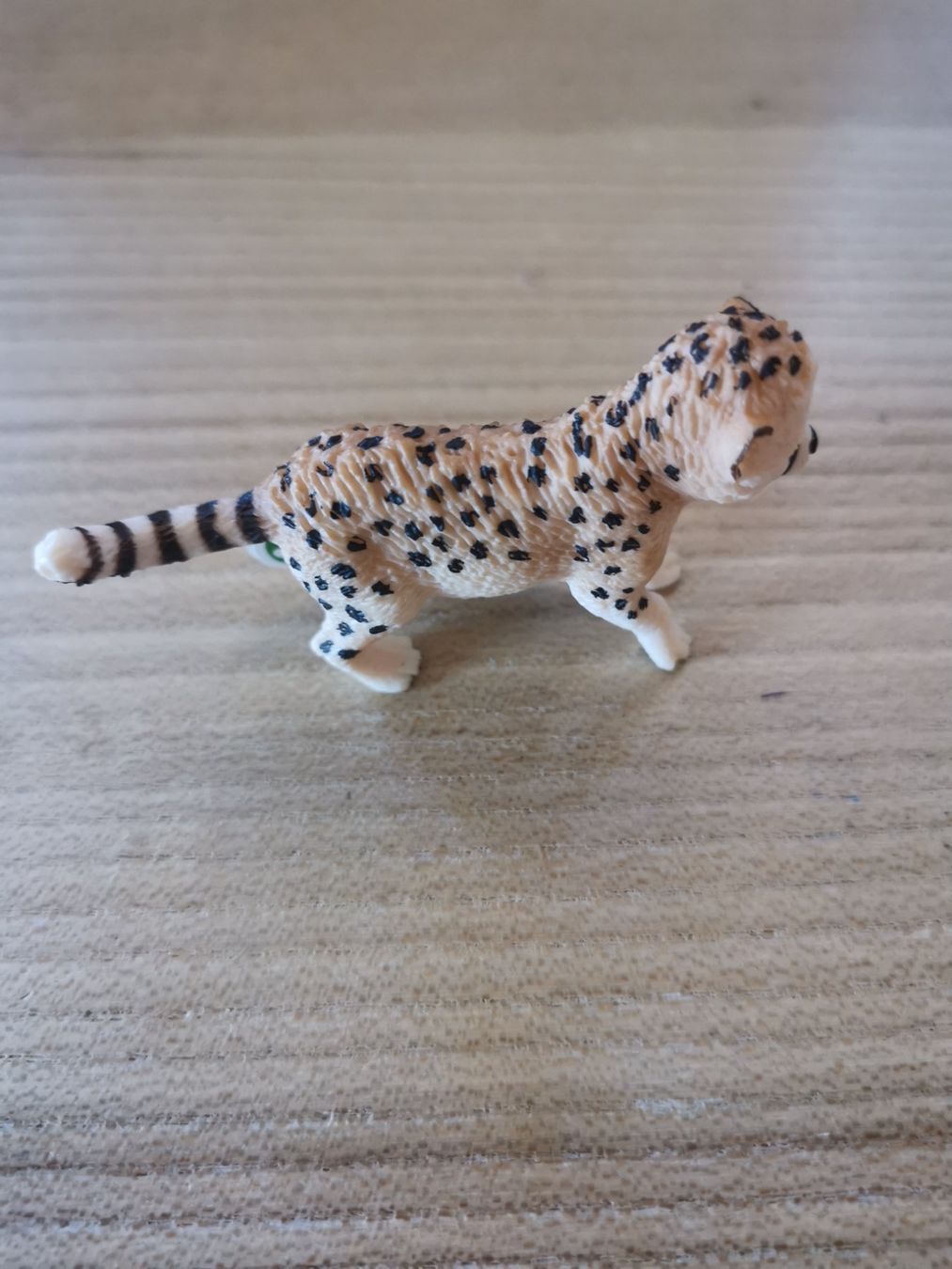 Schleich Giocattoli: Schleich Tierfigur Gepardbaby neu – Nuovo e nell'imballaggio originale da Fankhaus (Trub) venduto da sun_7677 2
