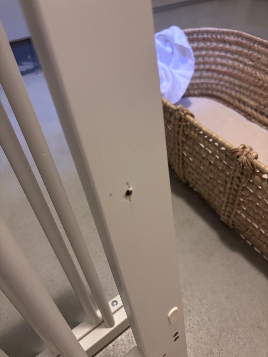 Letti: Ikea Babybett – Usato da Wil ZH venduto da Pfisti87 3