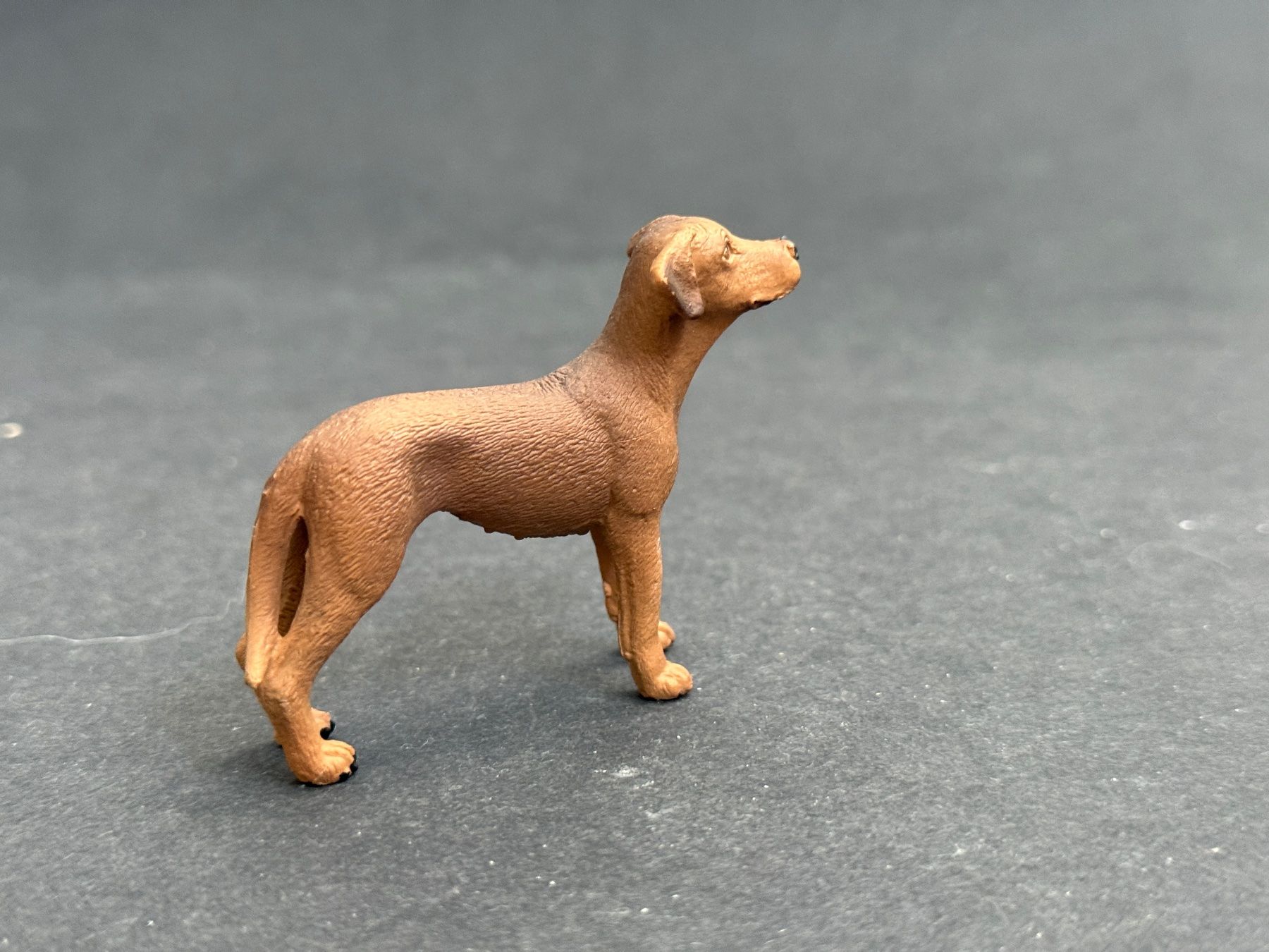 Schleich Figuren: Schleich Rhodesian Ridgeback Hund – Neu (gemäss Beschreibung) aus Ennetbaden von mapa05 4