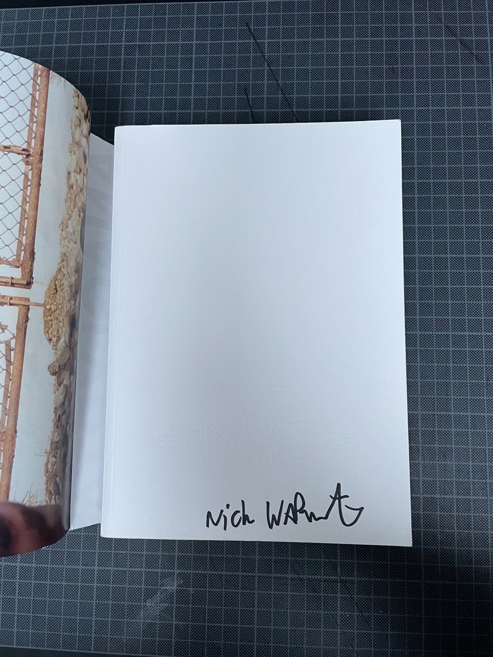 Libri: Nick Waplington - Anaglypta – Usato da St. Gallen venduto da oliverhochuli 1