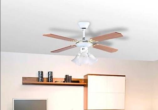 Ventilatori: ventilateur avec luminaire – Usato da Cheseaux-sur-Lausanne venduto da riopacha 2