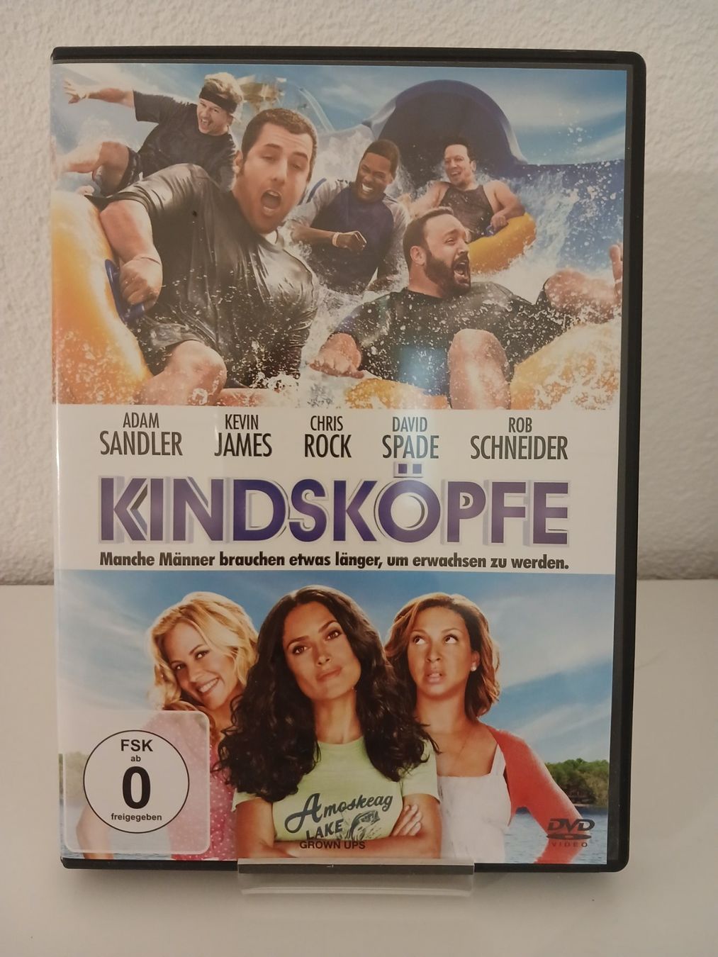 Tutti i DVDs: Kindsköpfe – Usato da St. Margrethen SG venduto da SamusAran