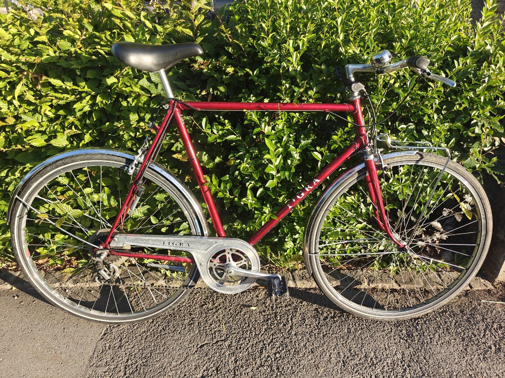 Biciclette: Vintage Herrenvelo Tigra – Usato da Sempach venduto da sam_z6d2