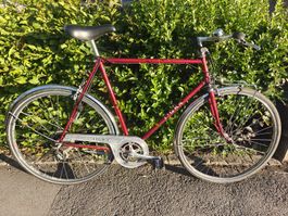 Vintage Herrenvelo Tigra