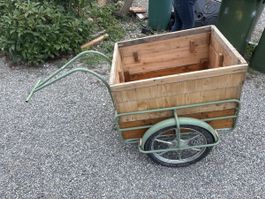 Mofaanhänger Veloanhänger 