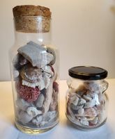 Muscheln Korallen Treibgut Deko im Glas 2er Set Maritim 