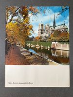 Original Vintage Poster - Notre Dame / les quais de la Seine