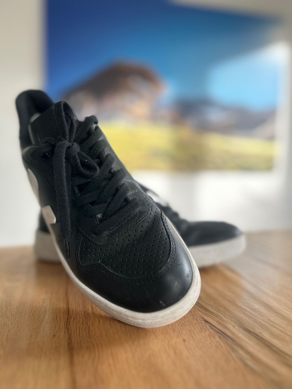 Veja Herrenschuhe: VEJA Sneaker Grösse 40 – Gebraucht aus Ibach von telemax