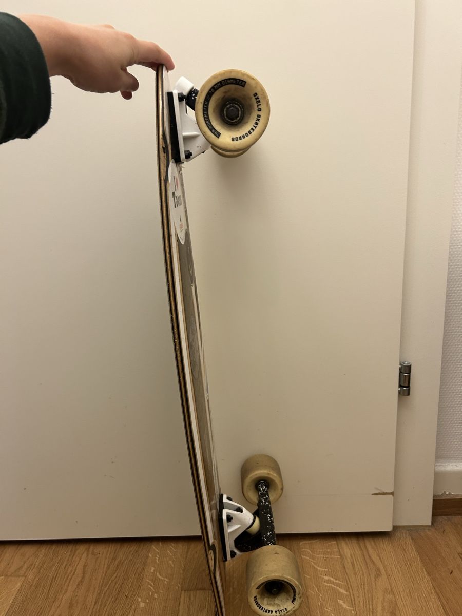 Skateboards: Skateboard – Usato da Winterthur venduto da Ste_ph21 1