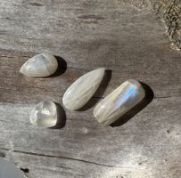 Mondstein Cabochon. "mit Feuer" top schön   4 Stk   UNIKATE