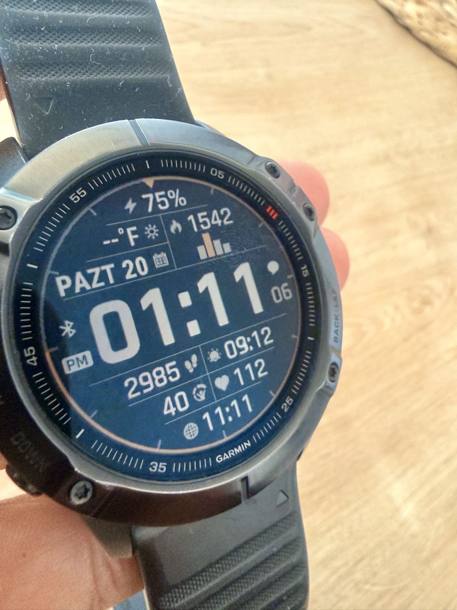 Garmin Smartwatch: Garmin Fenix 6X PRO – Usato da Herisau venduto da eK61 1