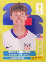 Panini FIFA World Cup USA 17