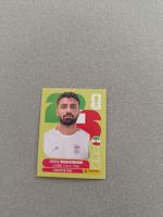 Panini IRN9