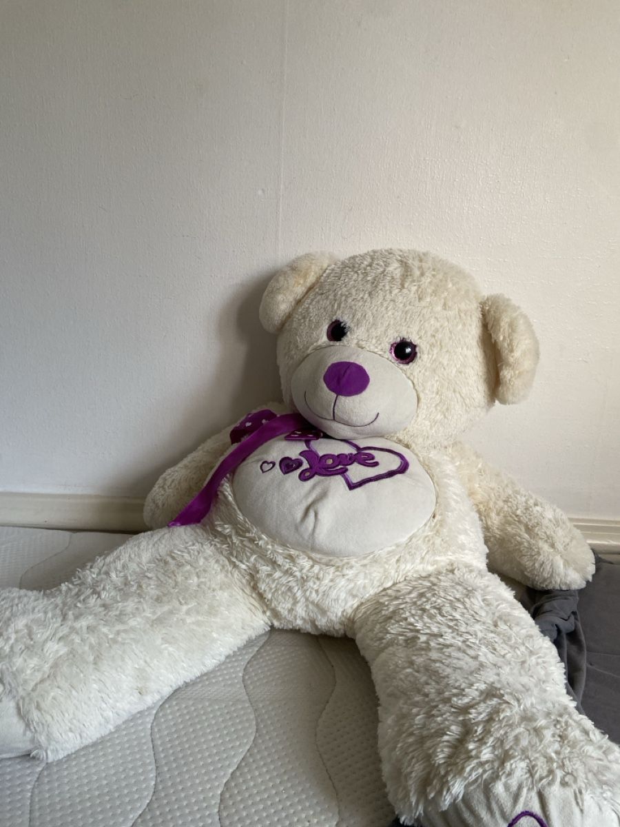 Welt der Tiere: Riesen-Teddybär (ca. 100cm) – Gebraucht aus Wettingen von enhuufeguggus
