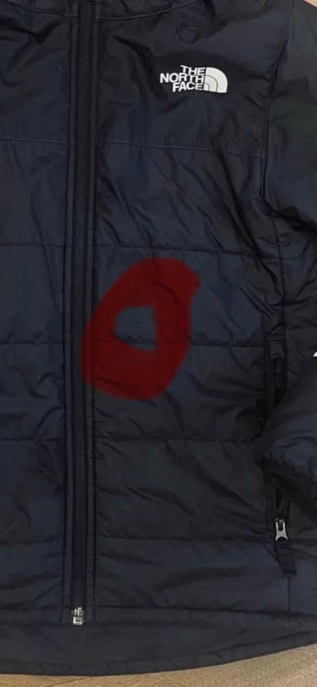 North Face Giacche & Cappotti: Jacke (Northface) – Usato da Hittnau venduto da pianokeller 1