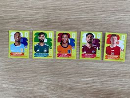 Panini WM 2026 Sticker