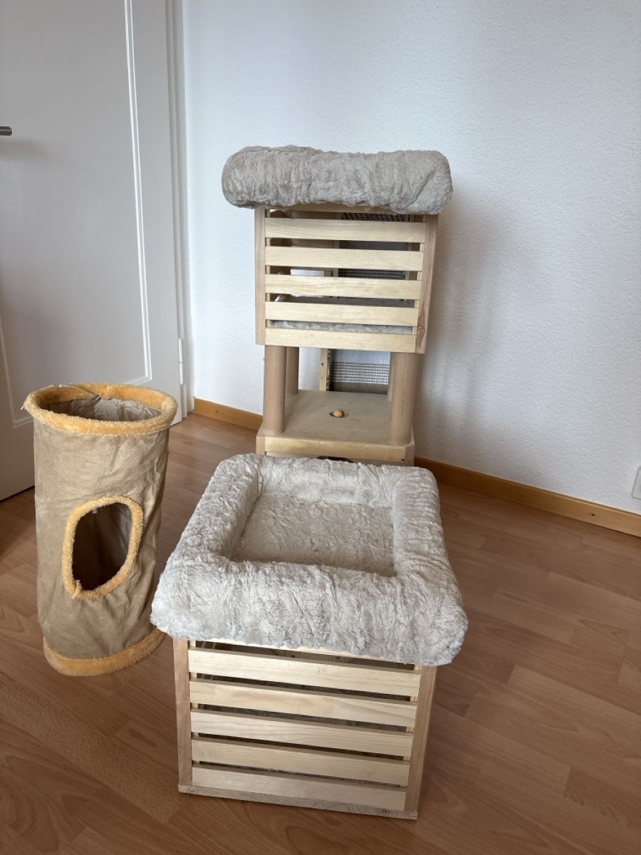 Arbres à chats: Arbre à chat en bois – D'occasion à Biel/Bienne par pat_kh7v 7