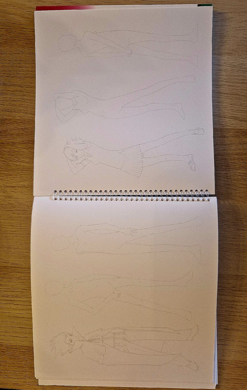 Libri: Dessiner les mangas Shojo – Nuovo (secondo la descrizione) da Châtonnaye venduto da Lyoko02 4