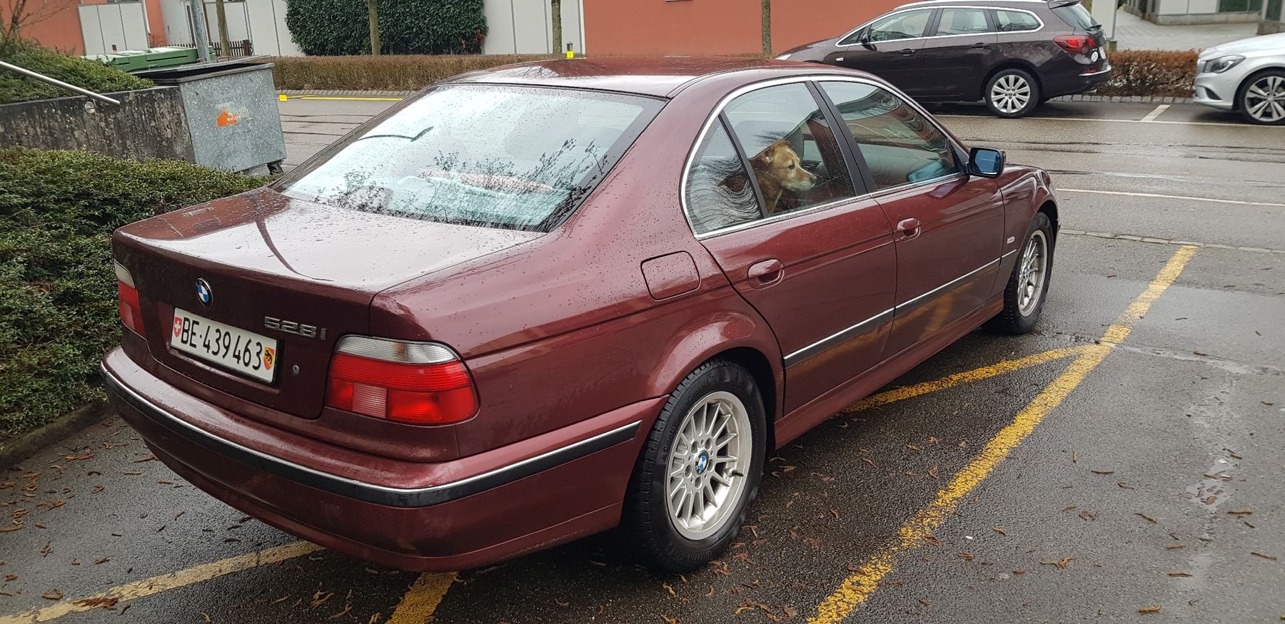 BMW Autos: BMW E39 528i an MFK – Gebraucht aus Hinterkappelen von phi_lz5x 2