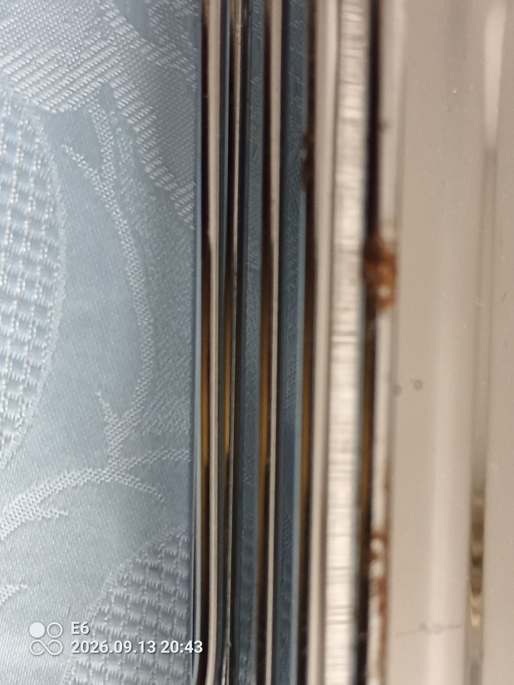 Schalen: Metallgestell mit Schale – Gebraucht aus Zürich von Mitzi6 7