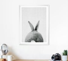 Bild-Set mit einem Hasen,Schwarzweiss,gerahmt 50x70cm