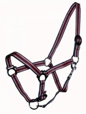 Briglie & Cavezze: Pferde-Nylonhalfter mit Führ-Strick Set – Nuovo e nell'imballaggio originale da St. Gallen venduto da schnaeppchen-preise