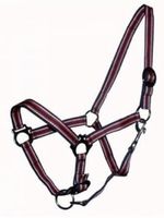 Pferde-Nylonhalfter mit Führ-Strick Set