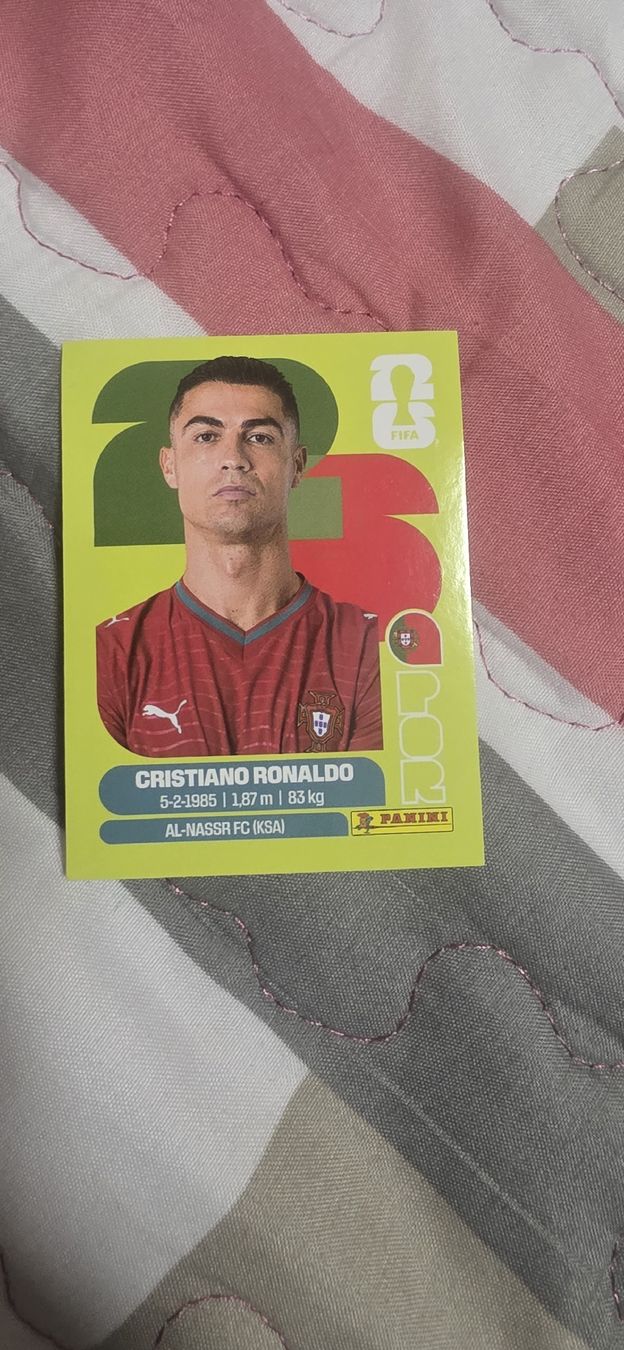 Panini Cartes à collectionner: panini ronaldo – D'occasion à Carouge GE par gaomadal