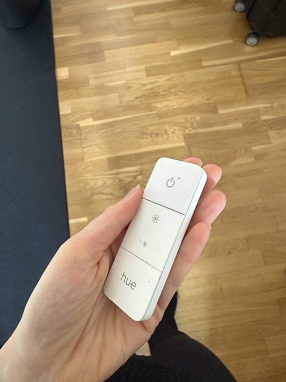 Philips Lampadari & plafoniere: Philips Hue Pendelleuchte Fair – Usato da Bern venduto da Sareliii 2