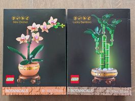 Lego 10343 Mini-Orchidee & 10344 Glücks-Bambus [neu&OVP]