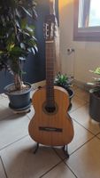 Klassische Gitarre - Marvin