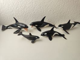 Schleich Orka Familie Meerestiere Wal Killerwal Set