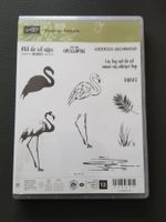Stampin up Flamingo-Fantasie