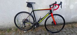 Rennrad Cannondale Synapse Carbon Disc