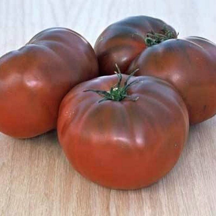Pflanzen & Samen: 50 Samen Schwarze Tomate CARBON – Neu (gemäss Beschreibung) aus Ehrendingen von VerveinaSamen 8
